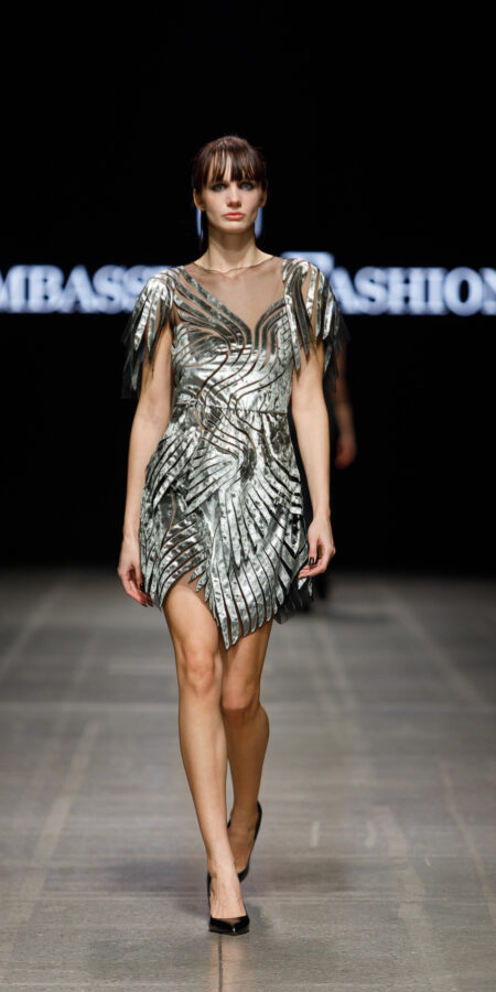 Silver Wings Top and Skirt